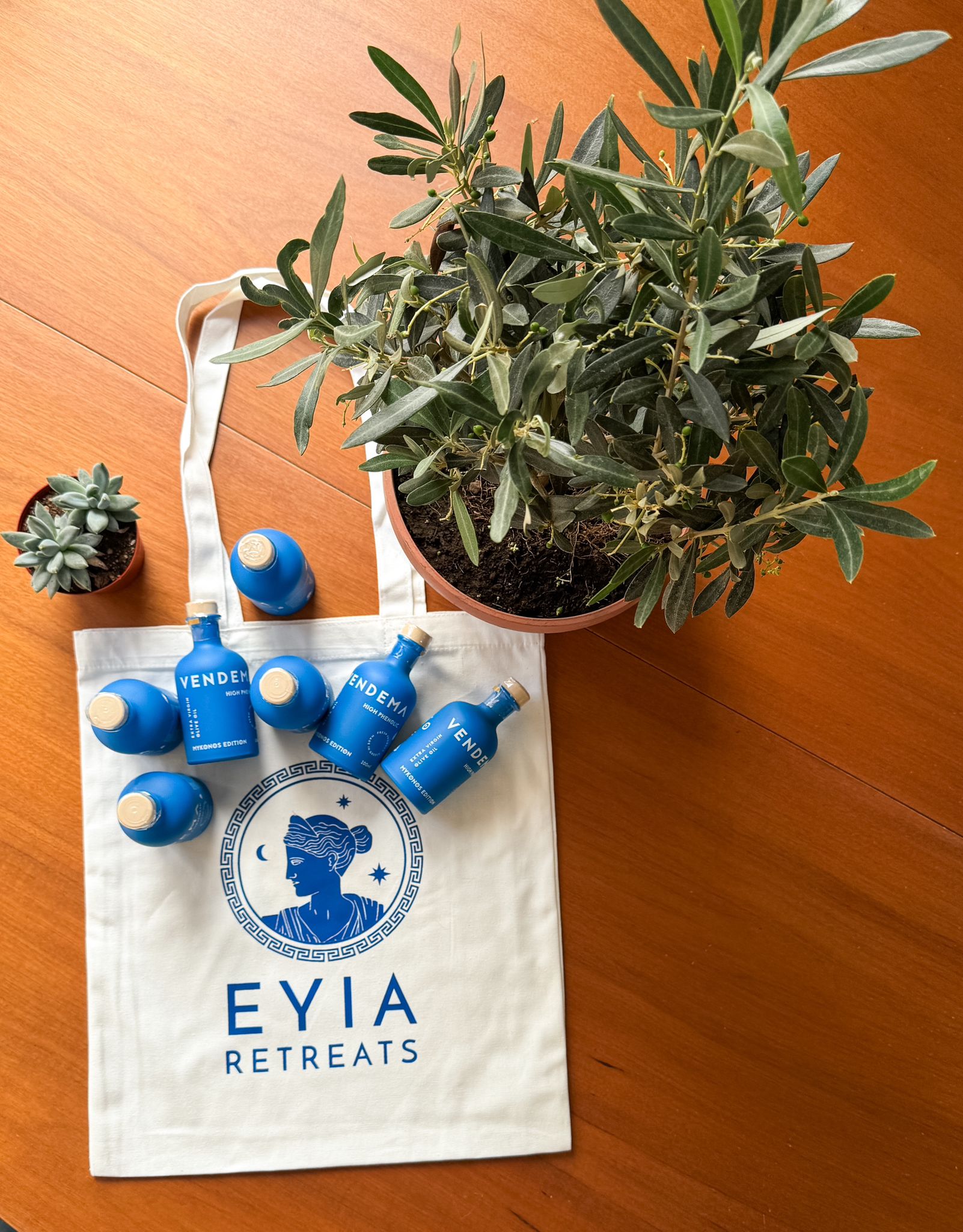 Travelling with EYIA Retreats around Greece this year? You get an oil, and YOU get an oil